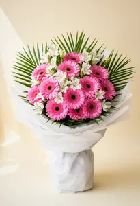Gerbera Primăvara