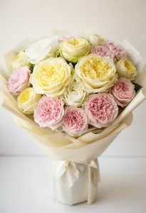 Candlelight Pomarose Lume