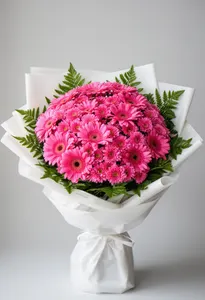 Gerbera Roz Serenă