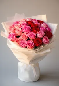 Ombre Romant