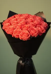 Amsterdam Coral Serenă