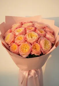 Shimmer Romantic