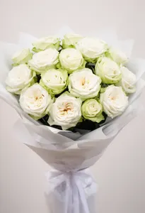 White O Hara Armonie