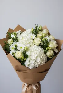 Hortensie Champagne