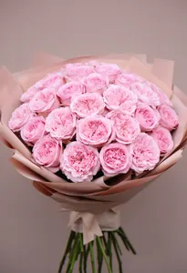 Pomarose Liniște