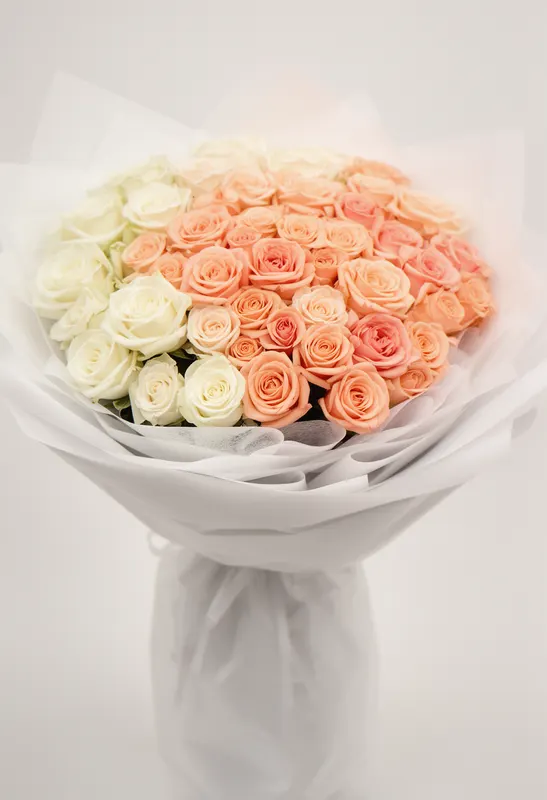 Cream to Peach Veră
