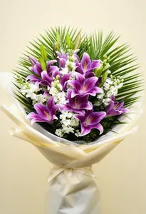 Crin Violetă Serenă