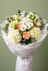 Hortensia Pastelă