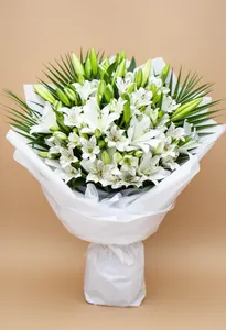 Nod de Liliac