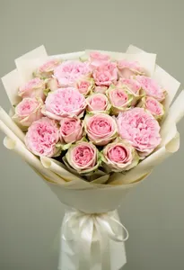 Pomarose Pink Mondial