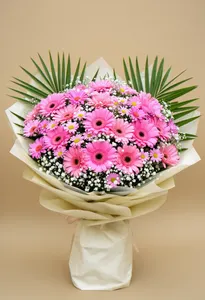 Gerbera Bucurie Roz