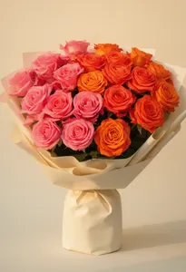 Coral Ombre Veranie