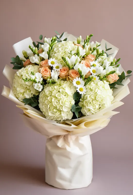 Hortensie Crem Eleganță