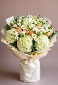 Hortensie Crem Eleganță