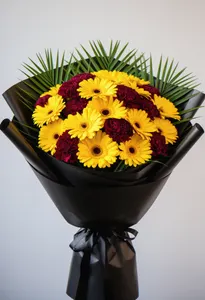 Gerbera Aurie