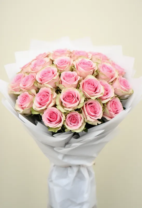 Pink Mondial Serenitate