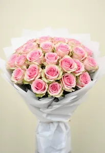 Pink Mondial Serenitate