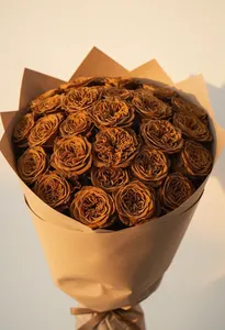 Toffee Splendoare Toamnă