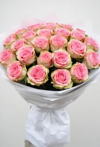 Pink Mondial Elegie