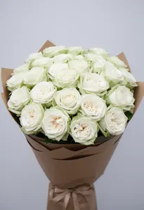 White O Hara Iarnă