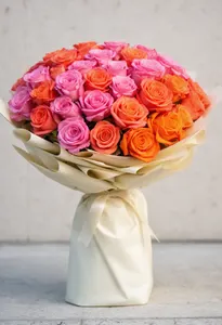 Coral ombre Valentina