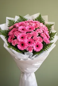 Gerbera Zâmbet