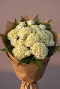 Hortensie de Toamnă