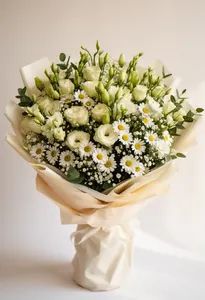 Lisianthus Refacere