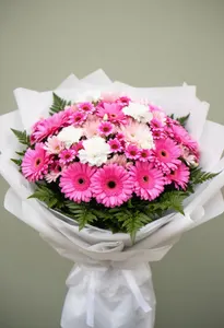 Gerbera Vis Romantic