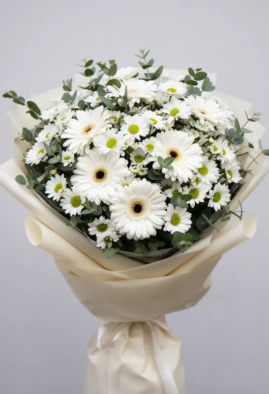 Serenadă Gerbera