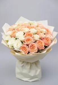 Cream Clasic