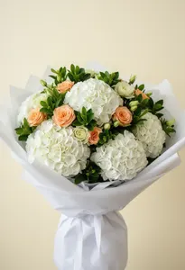 Hortensie de Aplauz