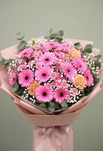 Gerbera Sărutului
