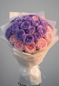 Country Blues Pomarose