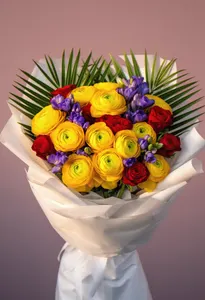 Ranunculus Zefir