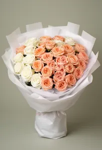 Cream Peach Dor