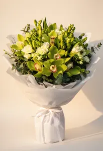 Orhidee Verde Consolare