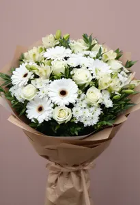 Gerbera Luminiș