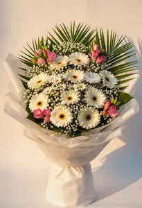 Gerbera Valentina