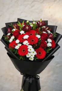 Gerbera Rubie