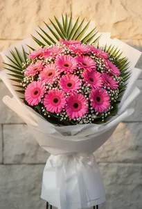 Gerbera de Dragoste