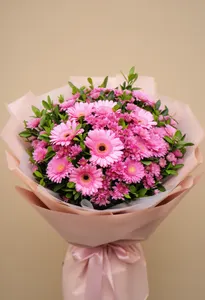 Gerbera Nocturnă