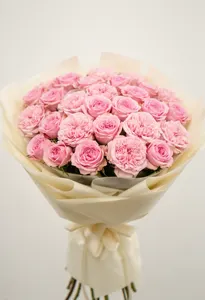 Pomarose Subtilă