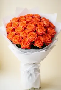 Orange Crush Refacere