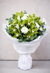 Orhidee Verde Speranță