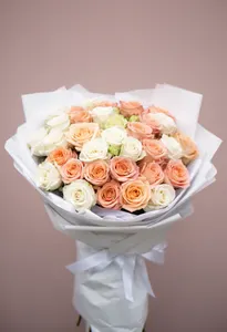 Cream to Peach Armonie