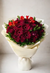 Gerbera Îndrăgire