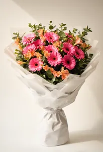 Gerbera Amor