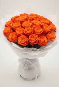 Fantezie Orange Crush