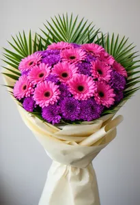 Gerbera Armonie